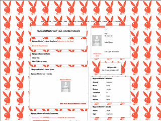 Playboy MySpace Layouts